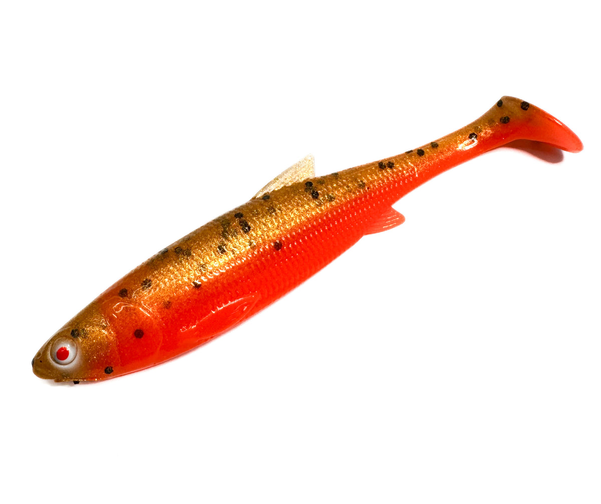 Oshelure Roach - 15cm / 01