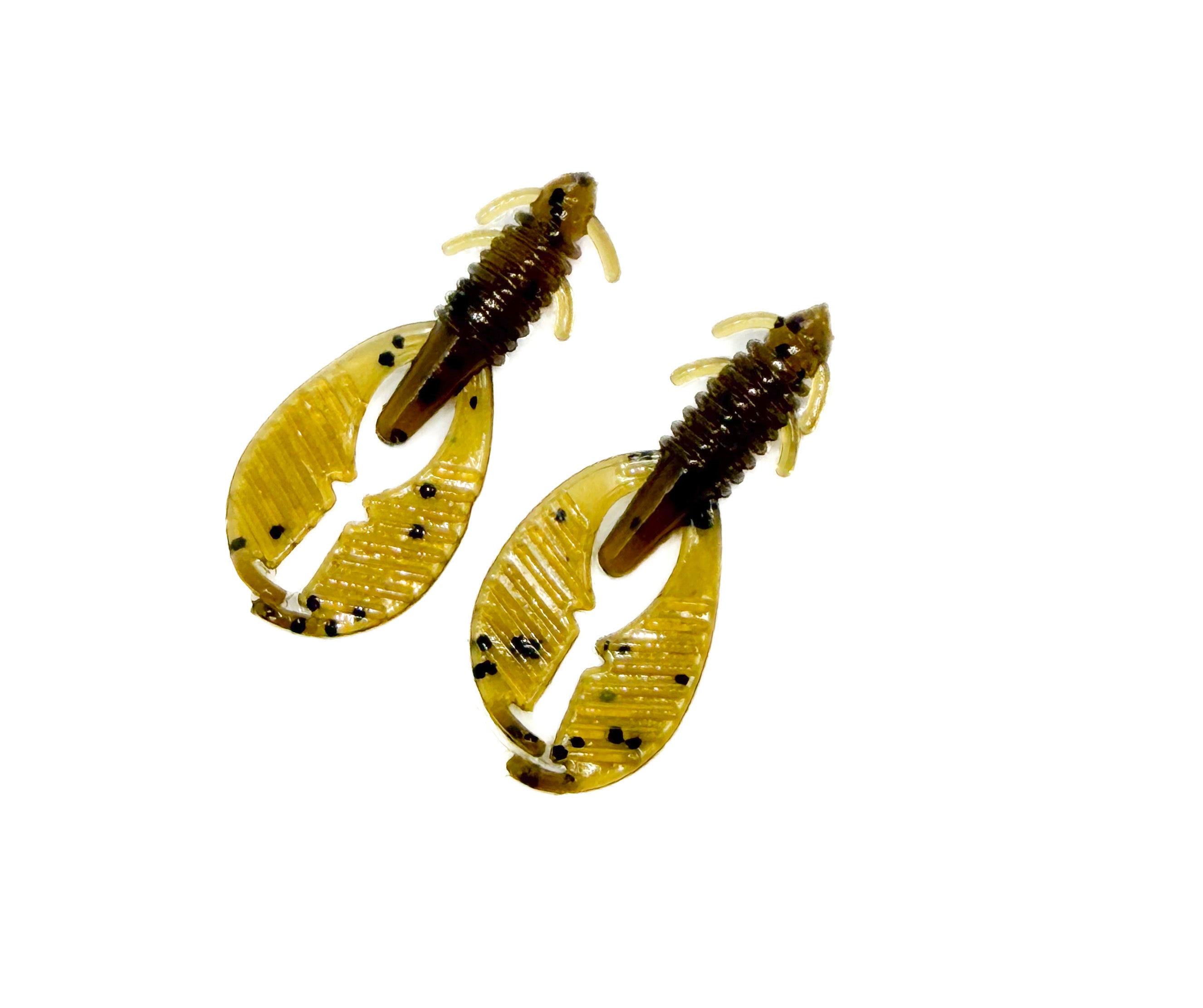 Micro Clavs 1.6''