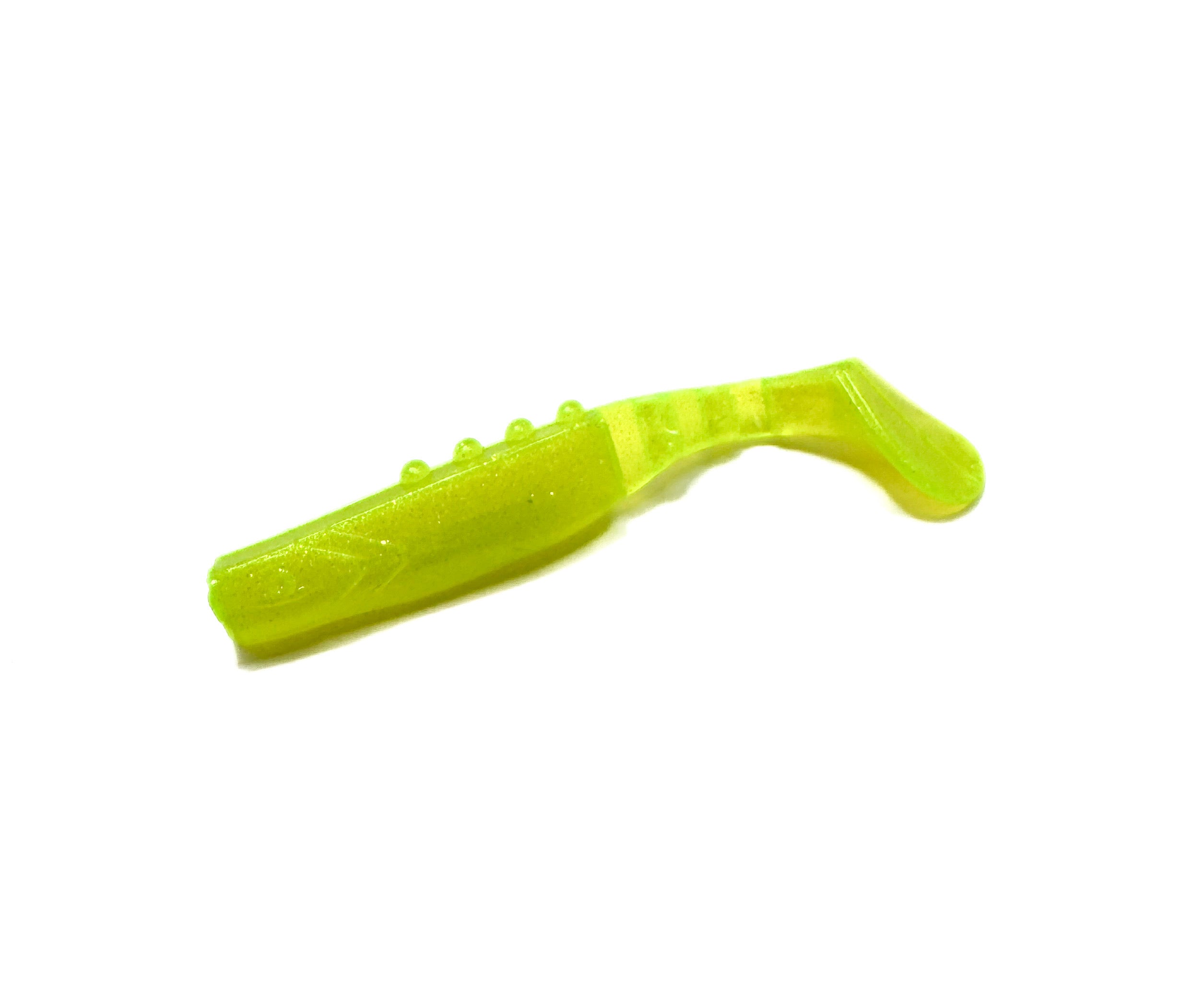 Duke of Courland 3"